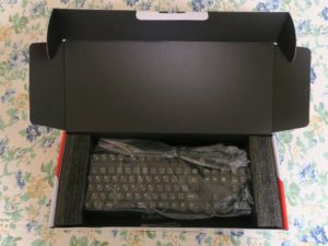 Owlteck 日本語109key メカニカル キーボード 赤軸 OWL-KB109CRE-BK 箱を開けたところ