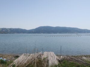 石巻－女川の車窓 カキの養殖場が見えます