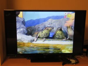 Panasonic 液晶テレビ VIERA TH-32E300 写真を映しました