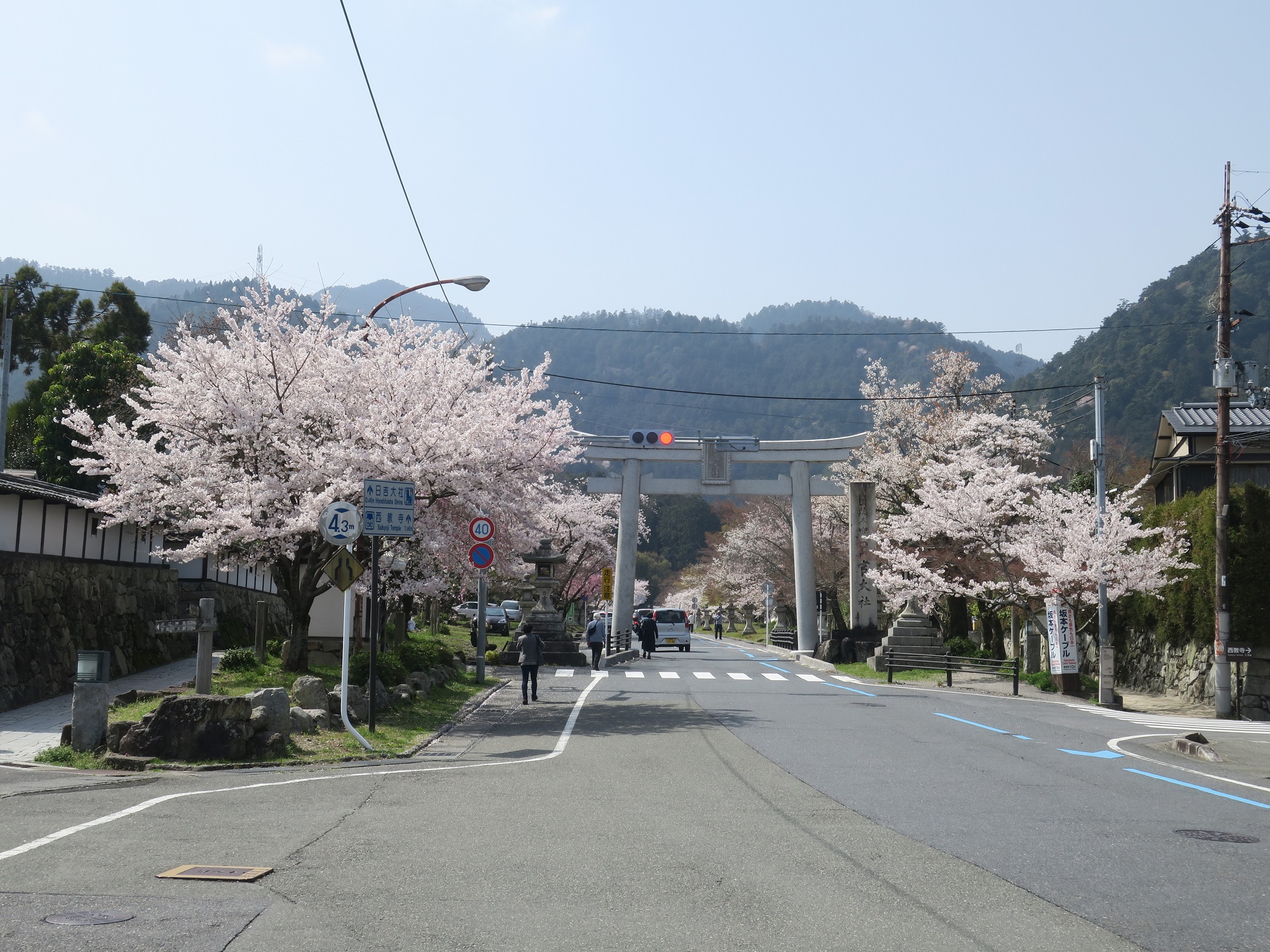 日吉大社 参道 交差点 この先に日吉大社があります