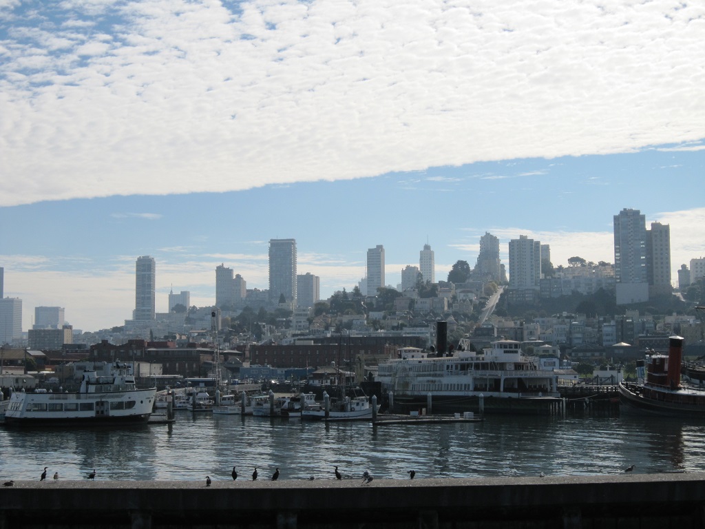 クルージング船から見たサンフランシスコ市街地